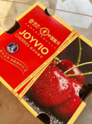 《2026中国春节食物消费趋向演讲》发布